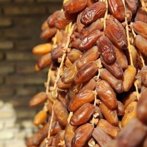 Branch Dates